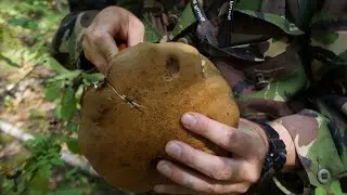 Прогулка за грибами, Барановичи