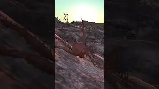 crab