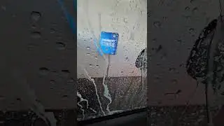Мою Секвою 🥰