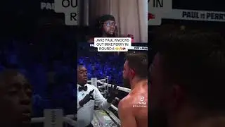 Jake Paul KOs Perry in round 6🔥🥊 #jakepaul #mikeperry #boxing #trending #shorts #viral #fyp