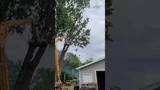 The best contractors create their own work  😱🤣