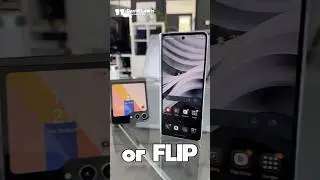 Flip or Fold - you choose! 