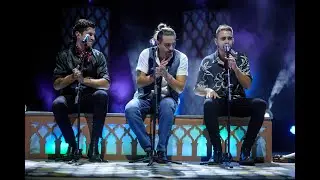 Fondo Flamenco