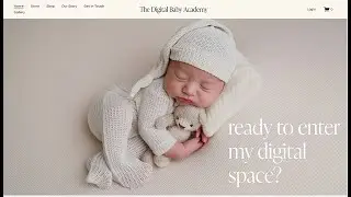 Digital Baby Academy - RR - Resell Rights to my content