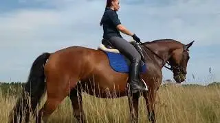 Даша и Лекс.