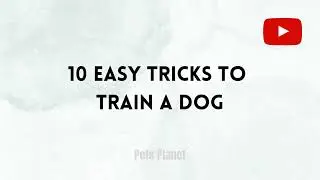 10 Easy Tricks To Train A Dog #dogtrainingvideos - How To Train A Dog Video