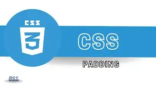 CSS Padding // CSS Padding in Nepali // CSS Padding Property in Nepali #11