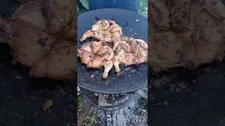 Цыпы табака на садже!!!