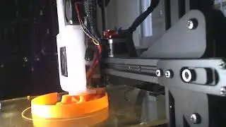 Ender 3 PRO (Dual Z Axis) Hairy Lion Print!