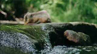 30 MINUTES - SMALL STREAM OF WATER ASMR - water in the woods - free audio effect