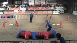 WC-2016  Agility IFCS Джампинг Двоеборье Кримчик-Экстримчик