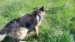 новенький из Электростали