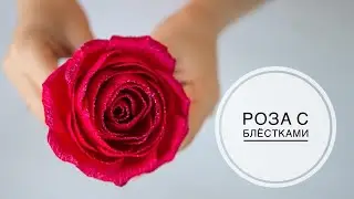 Winter Rose for the New Year
