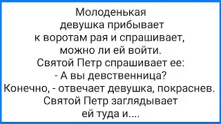 Девственница в Раю и Святой Апостол!!! Смешная Подборка Анекдотов!!!