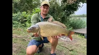 Несколько часов сделали всю рыбалку! Карп и Амур не давали собираться домой!