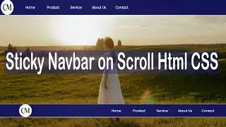 Sticky Navbar on Scroll Html CSS | fixed navbar on scroll CSS