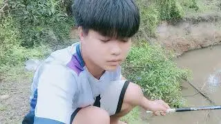 survival action