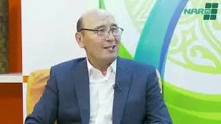 Орта толсын: 