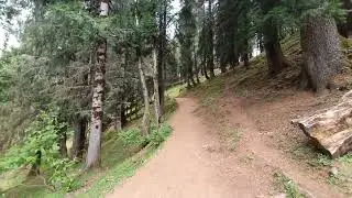 Forest Trek | Into the Mountains | Himalayas | #CalmPeace