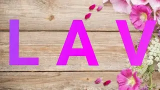 LAV JUL 💜 Karta Sunca Vas podržava u ovom periodu !