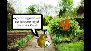 😂😂💥ලේනා ගෙ දත bukiye athal today
