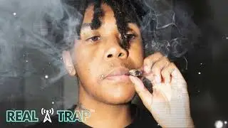 Kankan x Guapo - 700 Horses