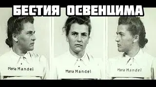 Мария Мандель — бестия Освенцима 🔥 одна из самых жестоких преступниц 🔥