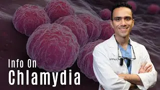 What is Chlamydia Infection and Treatment 👨‍⚕️