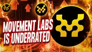 The BEST Time to Invest in MOVEMENT LABS Is NOW