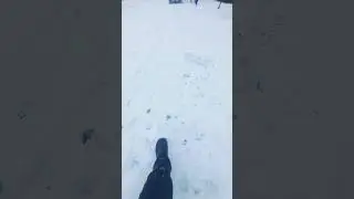 апрель 2023 г.