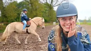 Stalvlog XL: Neckrope, kittens, PP plannen en op reis! 🐴