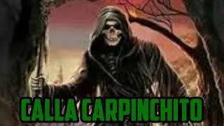 Calla CARPINCHITO