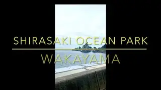 Shirasaki ocean park wakayama