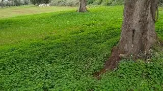 الجنوب الإيطالي ❤️🌿 🇮🇹