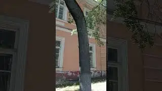 заброшенное здание