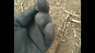 наконец то я ее нашел!!!коп с дэусом.