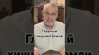 Главный хищник Земли 