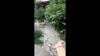 И снова мы 👀😍😳🤣