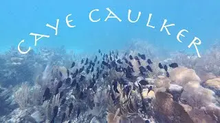 Caye Caulker, Belize | Snorkel