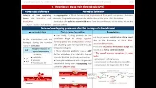 Deep vein thrombosis - Clinical pharmacy - Dr Menna Hazem