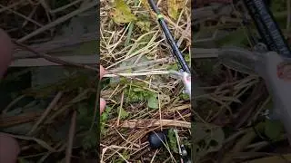 #handmade #fishing #lure #perch #youtubeshorts #youtube #shorts #lurefishing