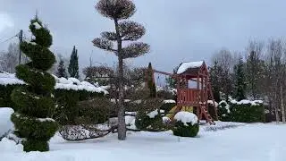Укрытие растений на зиму в Ромашкино Парк