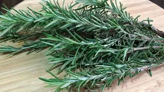 All The Dirt That Has Accumulated Over The Years Will Come Out In 3 Days ! Liver Cleansing
