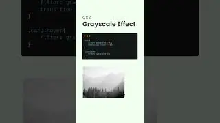 The filters property in CSS can be used to apply different image filters