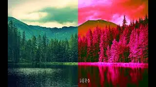 Liero - Forest Fire