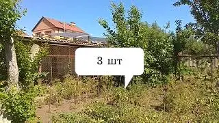 24V Solar Power Station: What’s Connected and How It Works.