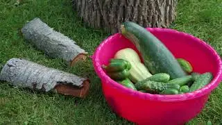 Мой фильм 2