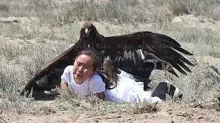 Эти птицы ЕДЯТ людей
