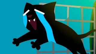 ПОБЕГ ЧЕРНОГО КОТА из клетки. Питомец забрался в стиральную машину 