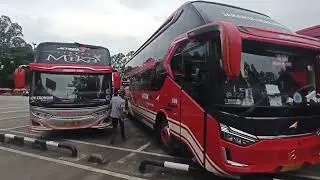Bis terbaru agra mas